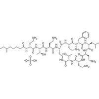亮矛鏈黴菌 亮矛鏈黴菌
