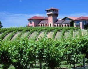 酒嘉哈經濟區 酒嘉哈經濟區