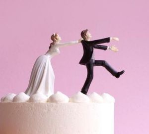 新手婚姻 新手婚姻