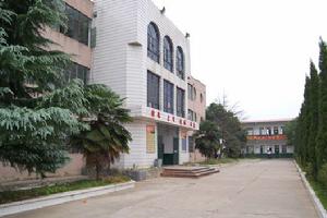 大楓中學 大楓中學