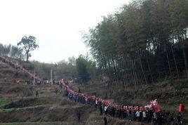 客家拔龍 客家拔龍