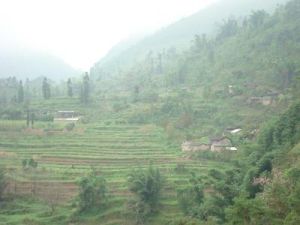 秧村自然村 秧村自然村