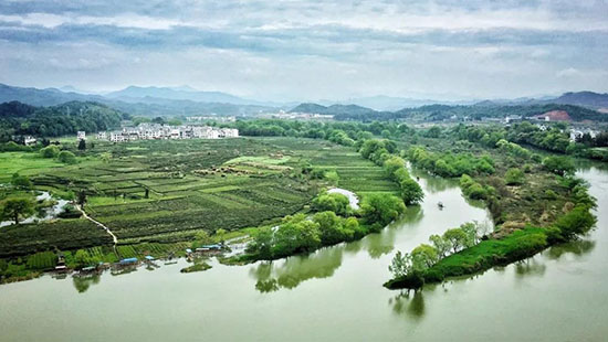 醉了!華東這個賞楓仙境讓人苦等半年,只為一睹絕美秋色!