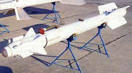 蘇聯AA-1空空飛彈 蘇聯AA-1空空飛彈