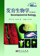 發育生物學