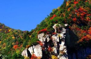 朱雀國家森林公園