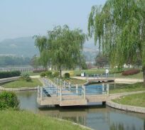 白特利公園 白特利公園