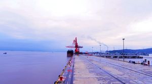 大麥嶼港 大麥嶼港