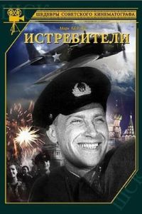 戰鬥機飛行員 戰鬥機飛行員