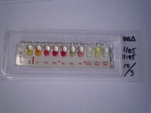 檸檬酸鹽利用試驗