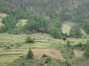 箐岩頭村 箐岩頭村