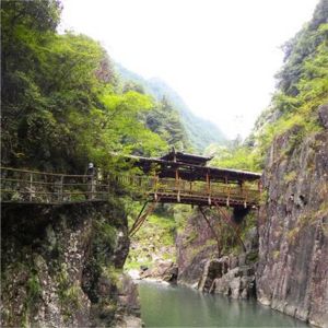 峽谷景廊景區 峽谷景廊景區