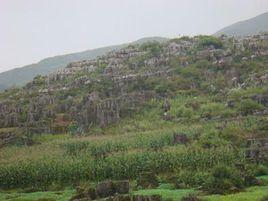 支磨石村 支磨石村