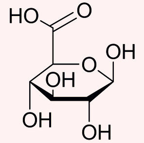 葡萄糖醛酸