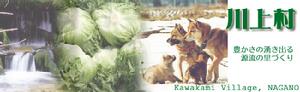川上村