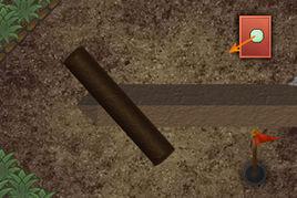 高爾夫球進洞 高爾夫球進洞