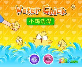 小雞洗澡 小雞洗澡