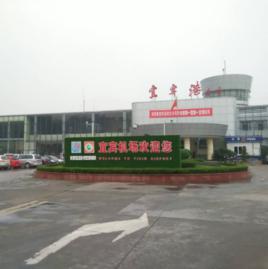 宜賓機場[宜賓菜壩機場]