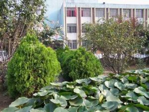 臨沂市特殊教育中心 臨沂市特殊教育中心