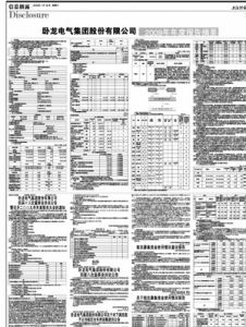 臥龍電氣集團股份有限公司