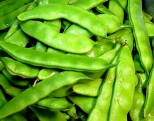 梅里斯油豆角 梅里斯油豆角