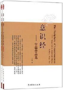 意識經:寧磊作品選 意識經:寧磊作品選