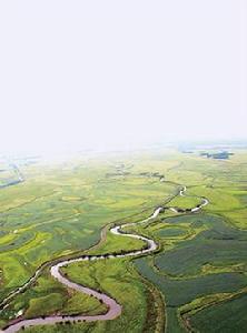 七虎林河 七虎林河