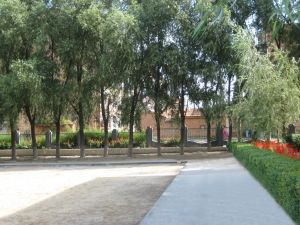 成都市菊樂路國小