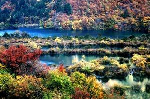 （圖）則查窪溝季節海