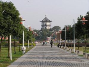 蝶園市民廣場 蝶園市民廣場