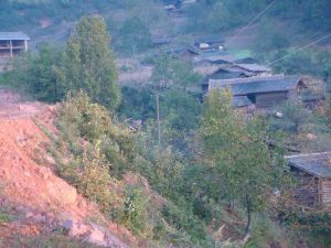 村情概況煉坪 村