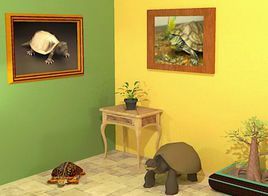 逃出海龜房間 逃出海龜房間