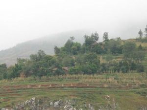 小坪村[雲南曲靖市會澤縣火紅鄉下轄村]