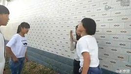 9·11餘姚圍毆女生事件 9·11餘姚圍毆女生事件