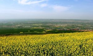 汾渭平原 汾渭平原