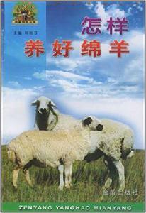 怎樣養好綿羊 怎樣養好綿羊