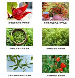 新生花草茶成分圖
