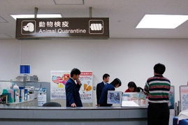 動物隔離檢疫場 動物隔離檢疫場