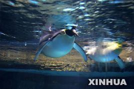 大連極地館 大連極地館