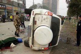 1·19奉新縣撞人案 1·19奉新縣撞人案