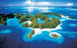 帛琉水母湖