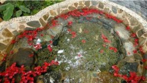 安寧雲濤露天溫泉 安寧雲濤露天溫泉