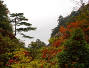 黃山頭國家森林公園