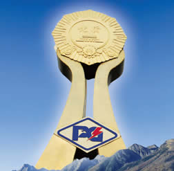 河南平高電氣股份有限公司