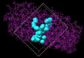 分子對接 分子對接