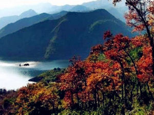 白鶴峽景區 白鶴峽景區