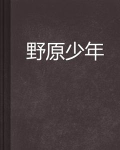 野原少年 野原少年