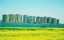 魅力泰和“濱江新區”