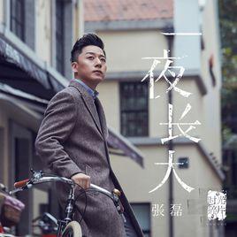 一夜長大[張磊演唱歌曲]