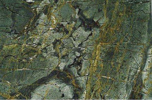 卡爾扎伊綠 | Verde Karzai |